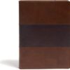 KJV Study Bible, Full-Color, Saddle Brown Leathertouch, Indexed: Red Letter