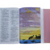 NIV, Adventure Bible, Hardcover, Full Color, Magnetic Closure - Image 2