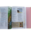 NIV, Adventure Bible, Hardcover, Full Color, Magnetic Closure - Image 3