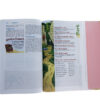 NIV, Adventure Bible, Hardcover, Full Color, Magnetic Closure - Image 4