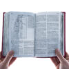 NLT Teen Life Application Study Bible, Compact Edition - Image 7