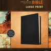 NLT, Every Man's Bible Large Print Genuine Leather, Black