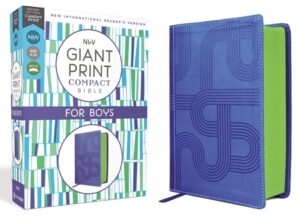 Image of NIRV Giant Print Compact Bible for Boys