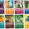 Encouragement Bulletin Board Set