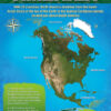 Continents and Oceans Bulletin Board - Image 7