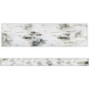 Straight Borders Woodland Whimsy Birch Tree- Discontinued