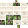 Codenames: Duet - Image 2