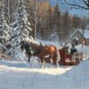 Puzzle Sugar Shack Horses 1000 pc- Discontinued