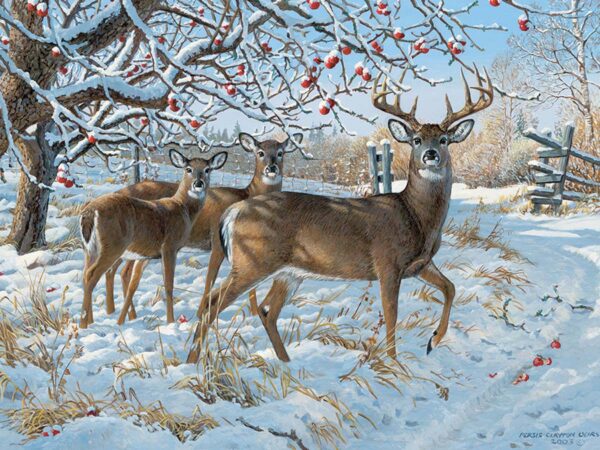 Puzzle Winter Deer 500 pc 654 0548 0