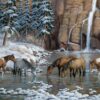 Puzzle Spirit of the Rockies 1000pc