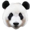 Puzzle Shaped I am Panda 550 pc - Image 2