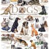 Puzzle Dog Quotes 1000pc