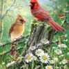 Puzzle Golden Light 500 Piece