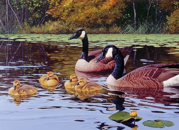 Puzzle Platts Pond (Geese) 1000 pc