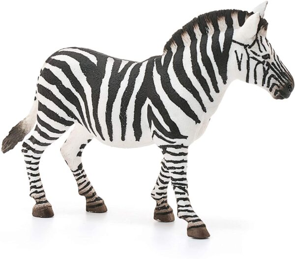 Zebra, Female - Image 3