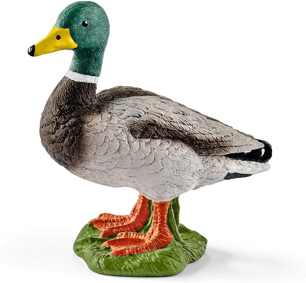 Image of Drake