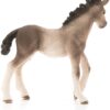 Andalusian Foal - Image 2