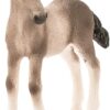 Andalusian Foal - Image 3