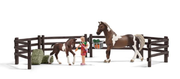Trakehner Stallion - Discontinued - Image 4