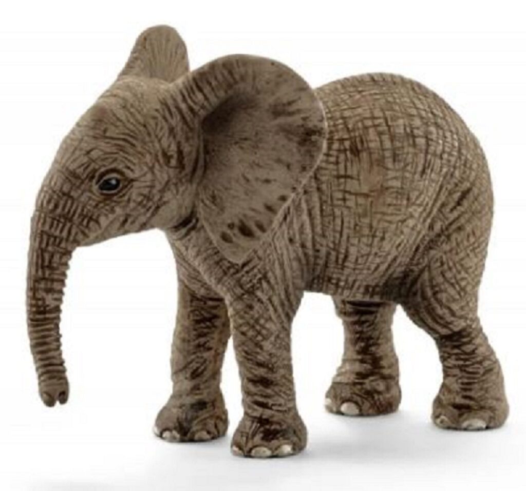 Image of African Elephant Calf