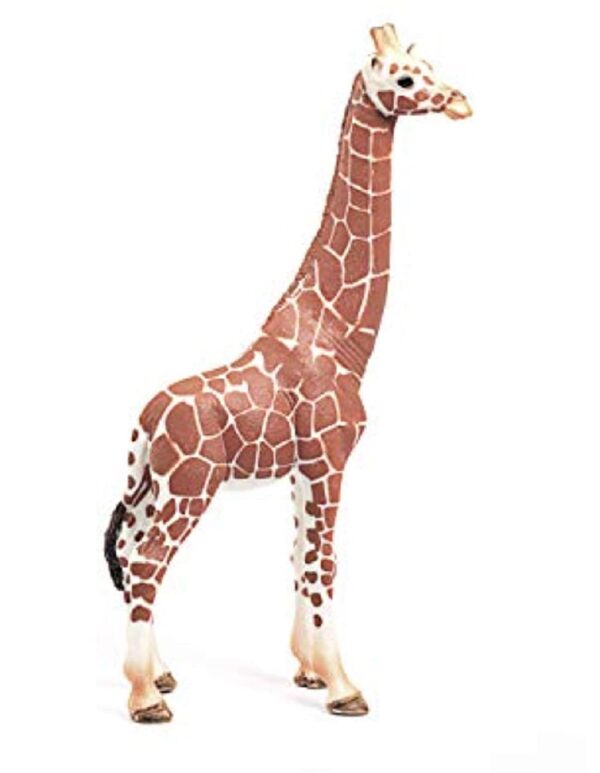 Giraffe, Female - Image 2