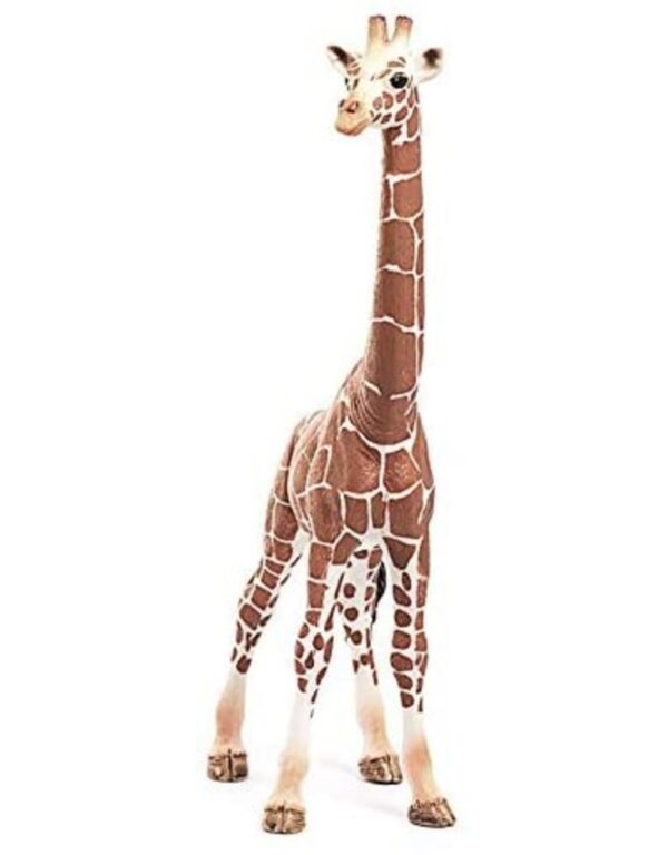 Giraffe, Female - Image 3
