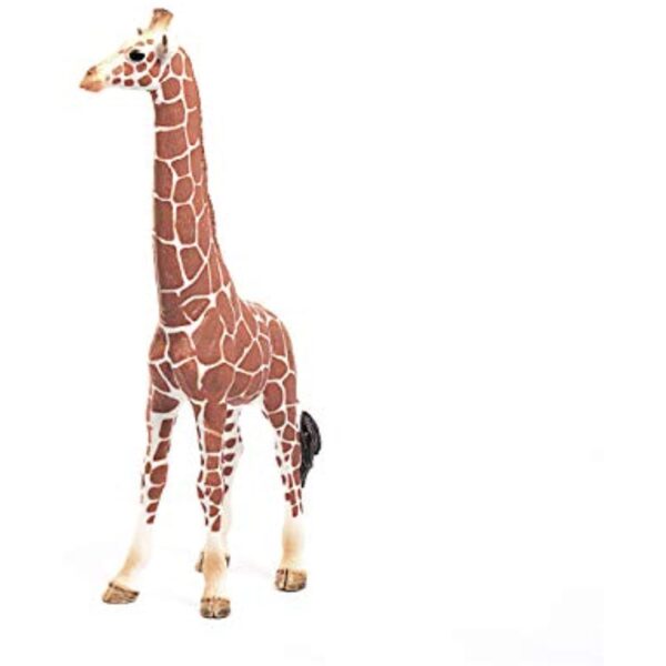 Giraffe, Female - Image 4