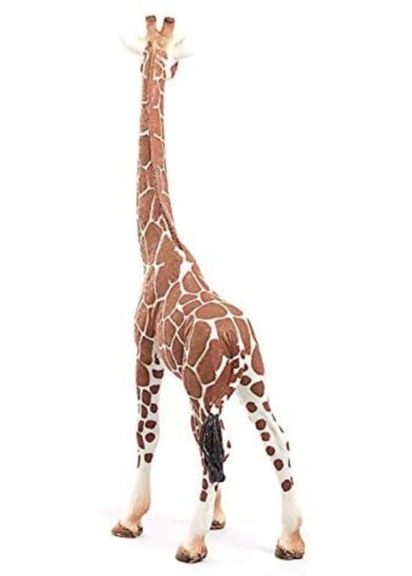 Giraffe, Female - Image 5