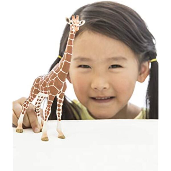 Giraffe, Female - Image 7