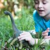 Brachiosaurus - Image 4