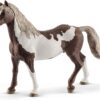 Paint Horse Gelding
