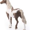 Paint Horse Gelding - Image 3