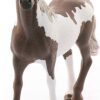 Paint Horse Gelding - Image 4