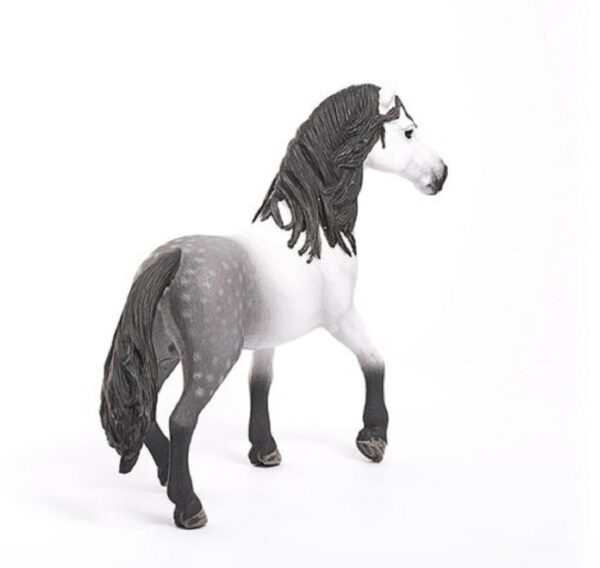 Andalusian Stallion - Image 3