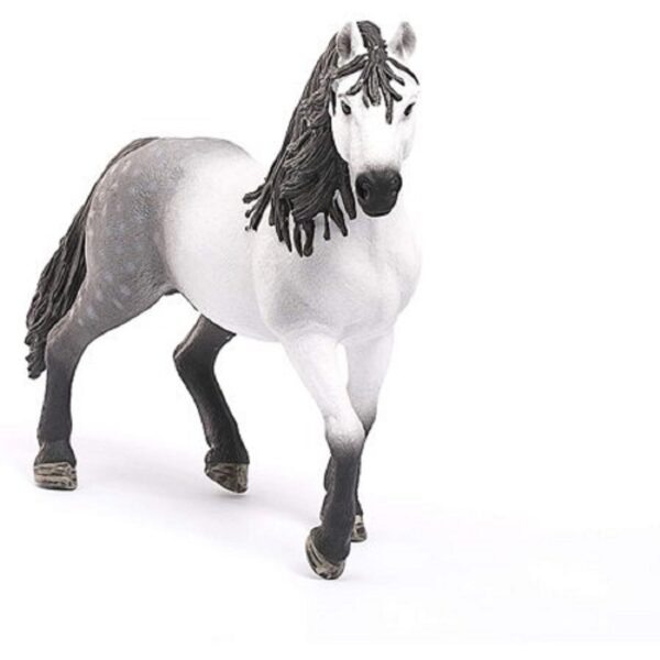 Andalusian Stallion - Image 4