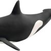 Killer Whale Baby Orca- Discontinued - Image 2