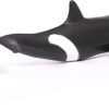 Killer Whale Baby Orca- Discontinued - Image 4