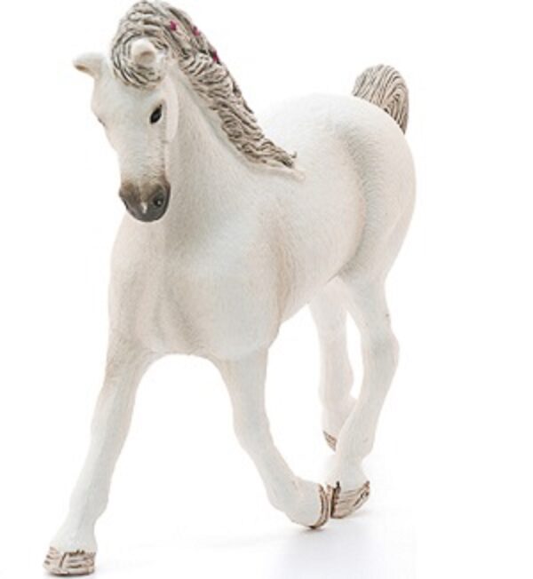 Holsteiner Mare - Image 3