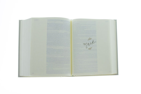 CSB Notetaking Bible, Hosanna Revival Edition, Lemons - Image 4