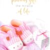 Cards Baby The Miracle of Life Boxed - Image 6