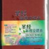 NLT / CNLT English / Chinese Simplified Chinese
