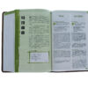 NLT / CNLT English / Chinese Simplified Chinese - Image 5