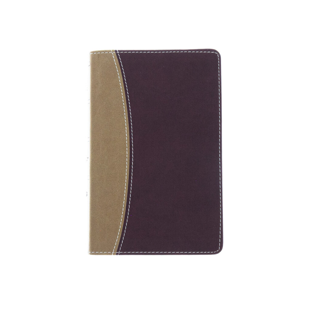 Image of Amplified Holy Bible, Compact, Imitation Leather, Tan/Burgundy