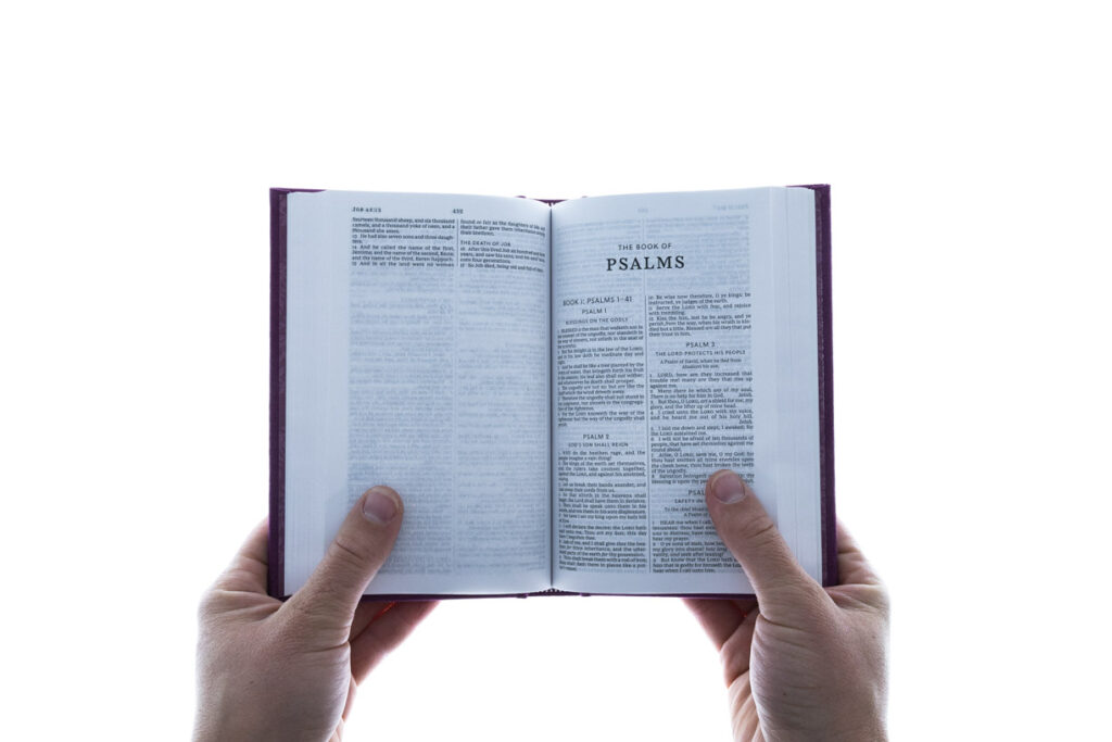 Image of KJV Thinline Bible/Compact (Comfort Print)