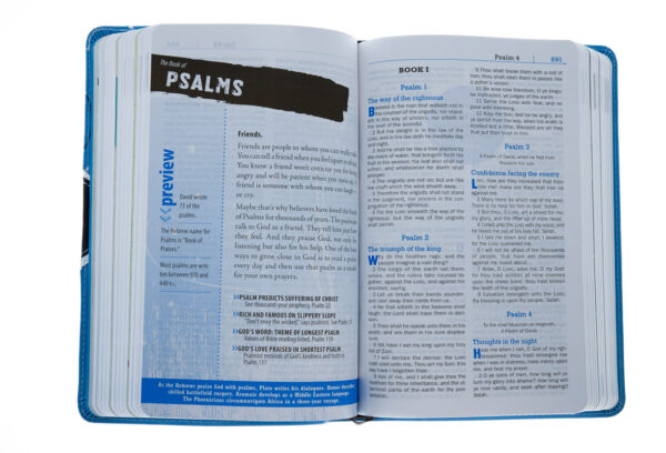 KJV Teen Study Bible-Sky Blue/Fudge DuoTone Imitation Leather - Image 3