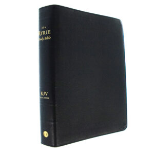 Image of KJV Ryrie Study Bible w/DVD-Black Genuine Leather