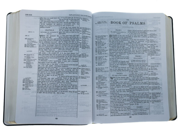 KJV Thompson Chain-Reference Bible/Large Print 206 0336 3