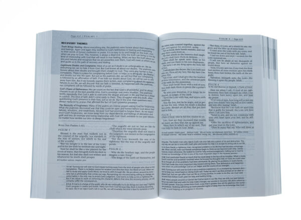 KJV The Life Recovery Bible Paperback - Image 3