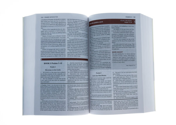 KJV, Know The Word Study Bible, Paperback, Red Letter Edition: - Image 2