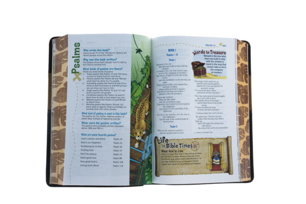 NIV Adventure Bible (Full Color)-Chocolate/Toffee Duo-Tone - Image 3